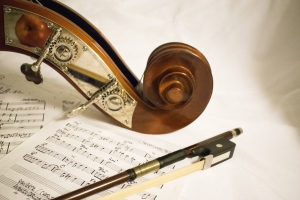 Styginio instrumento su natomis nuotrauka