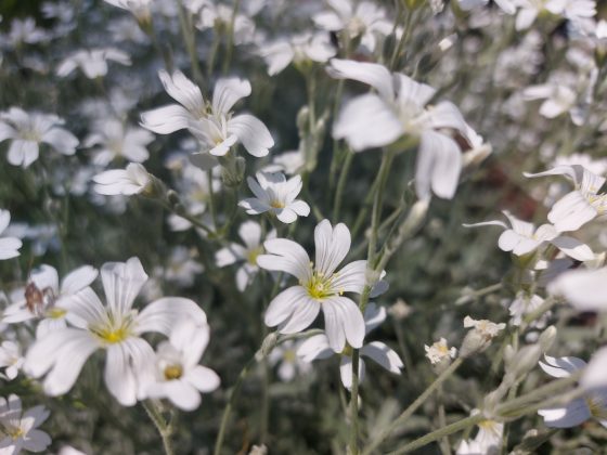 Tarptautinis kūrybinių darbų konkursas „Velykų dvasia”